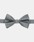 {{ product.type }} - Ted Baker London - Kosovo - NEARBOW